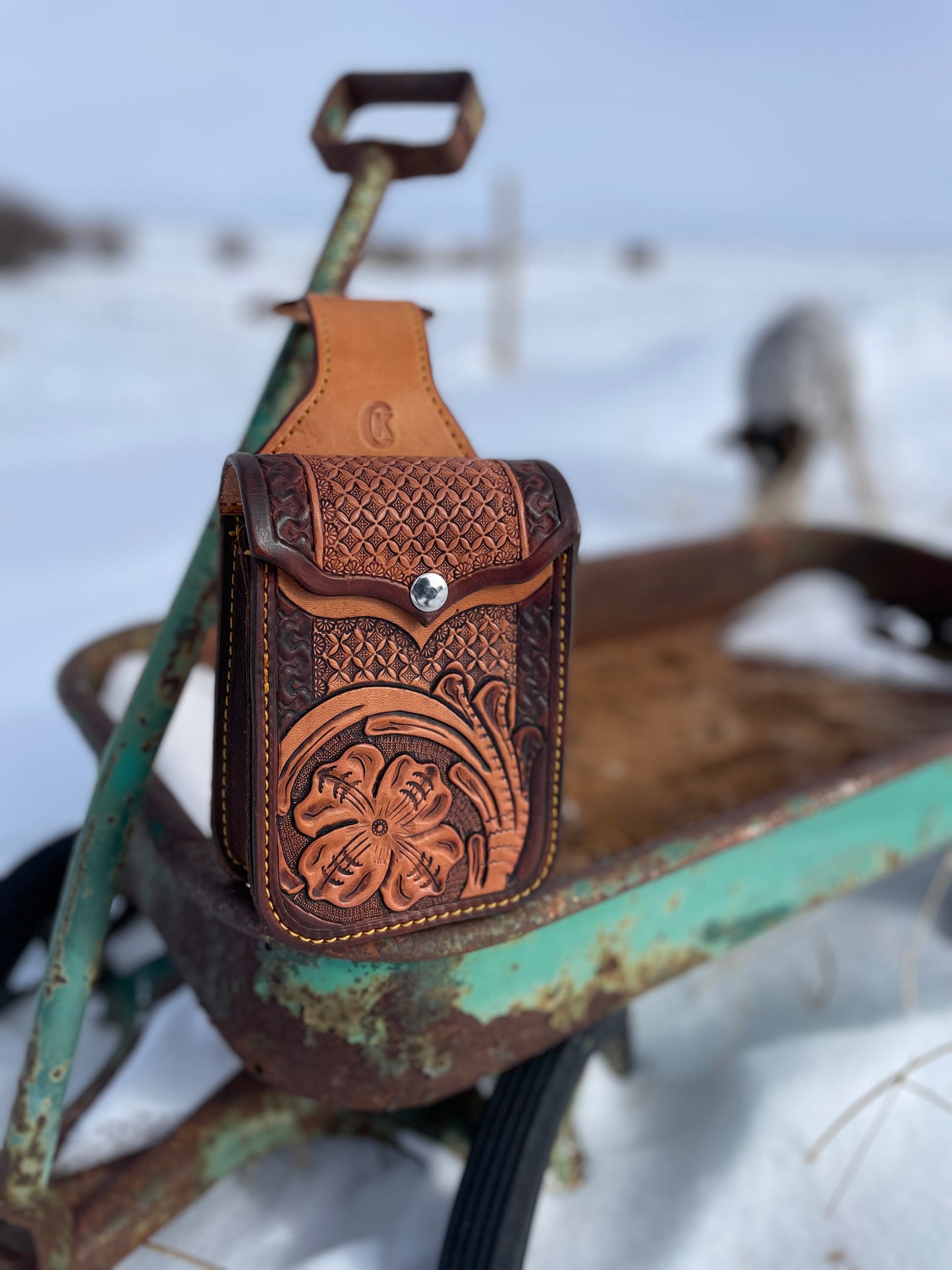 Back Cinch Case