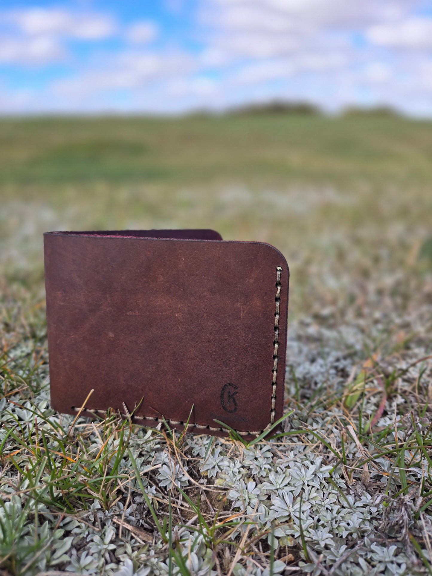 Soft Brown and Purple Wallet