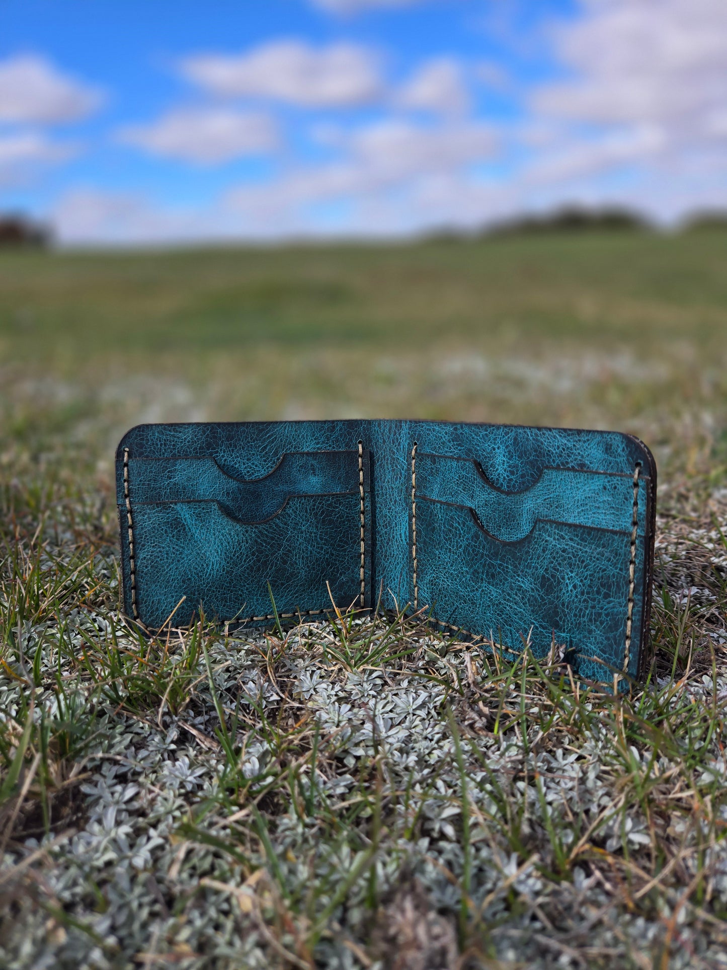 Soft Brown and Teal Wallet