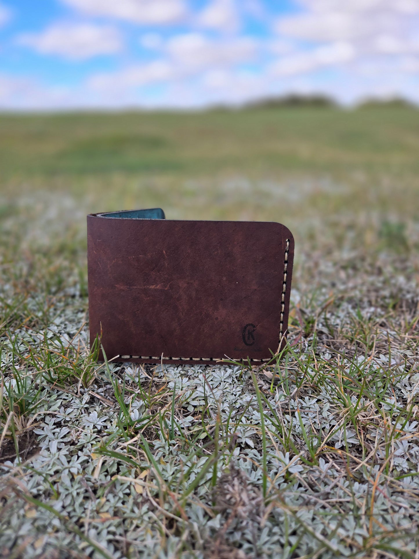 Soft Brown and Teal Wallet