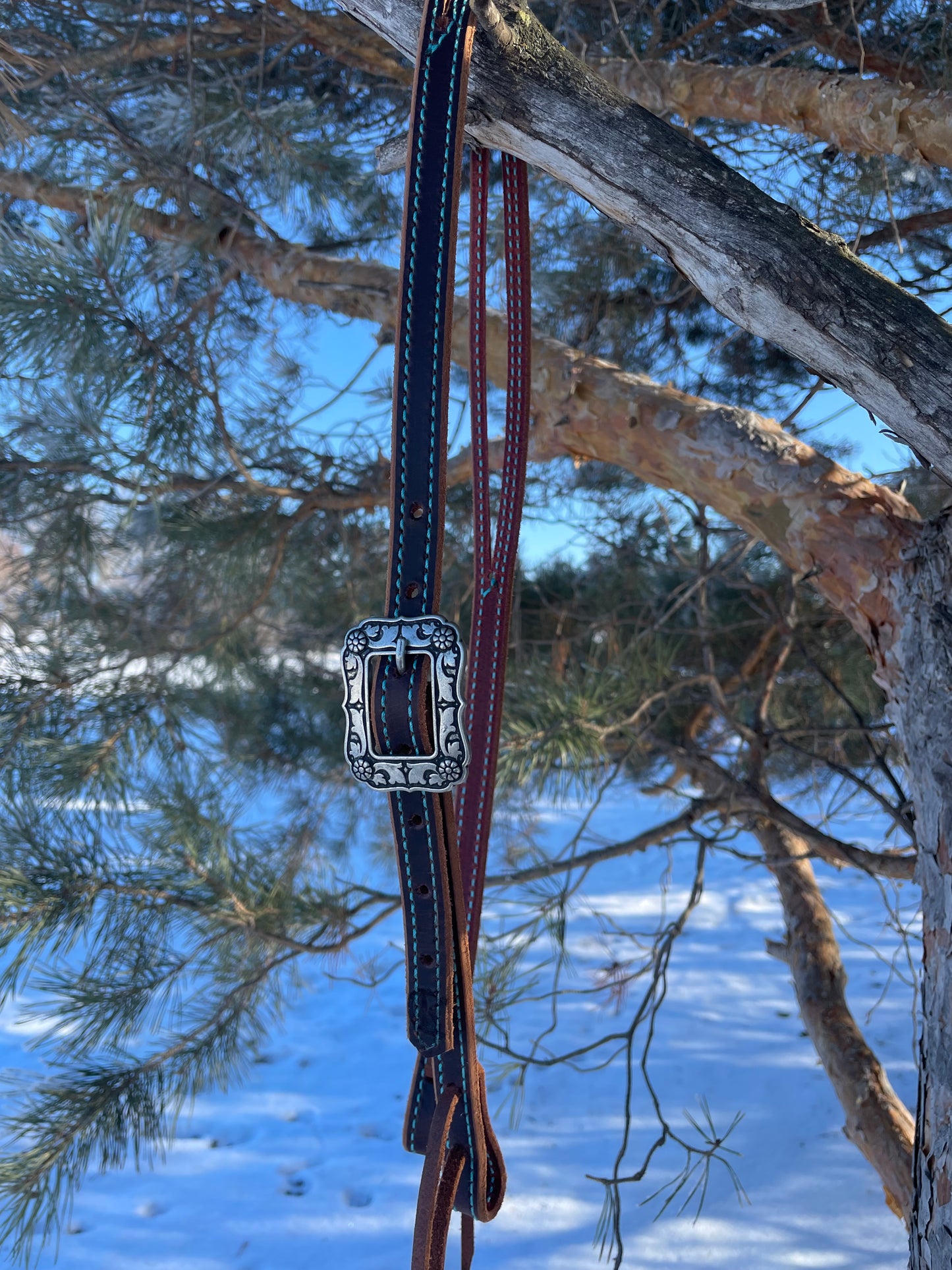 Slit Ear Headstall