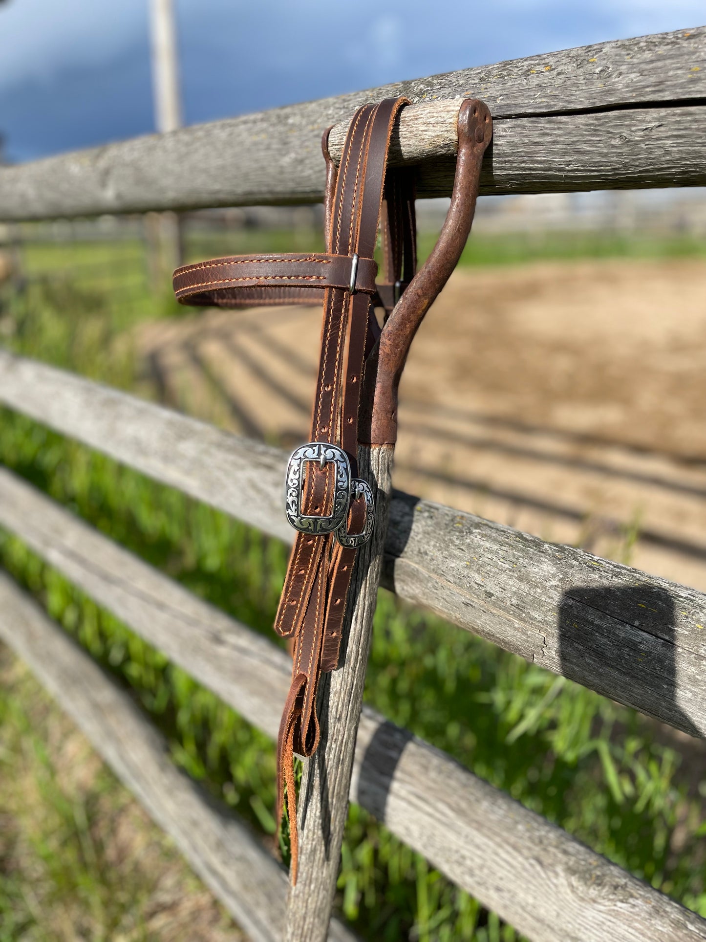 Browband Headstall