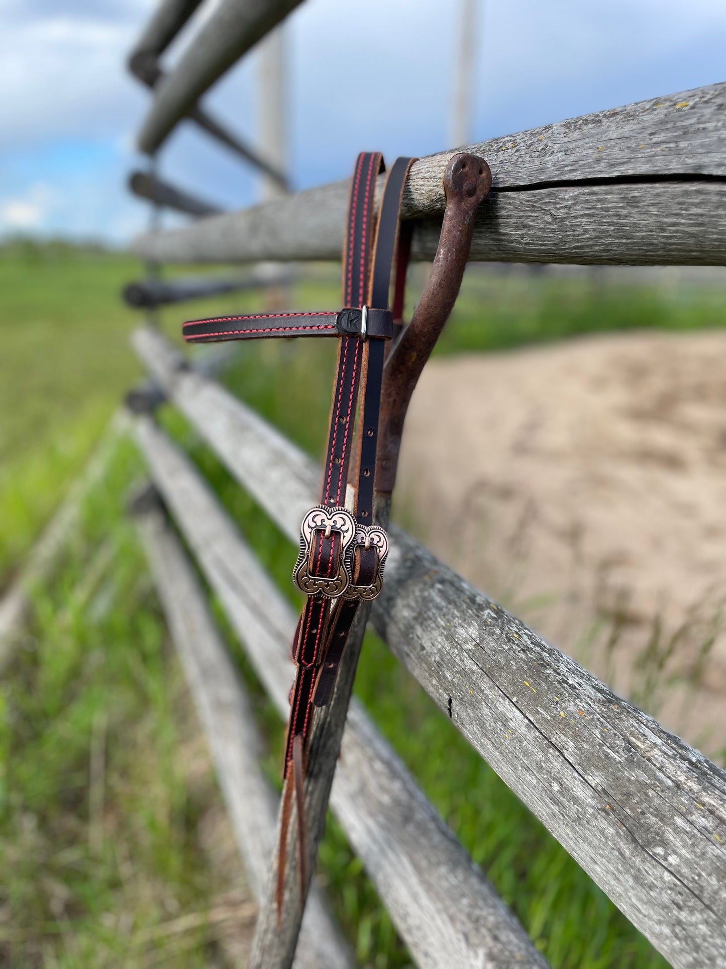 Browband Headstall