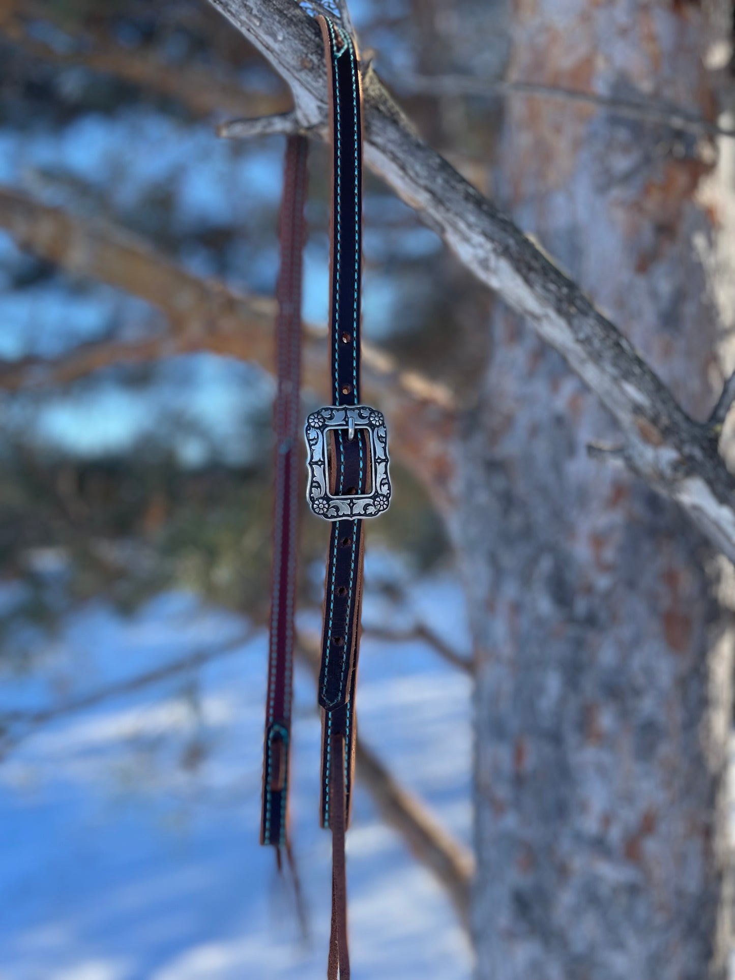 Slit Ear Headstall