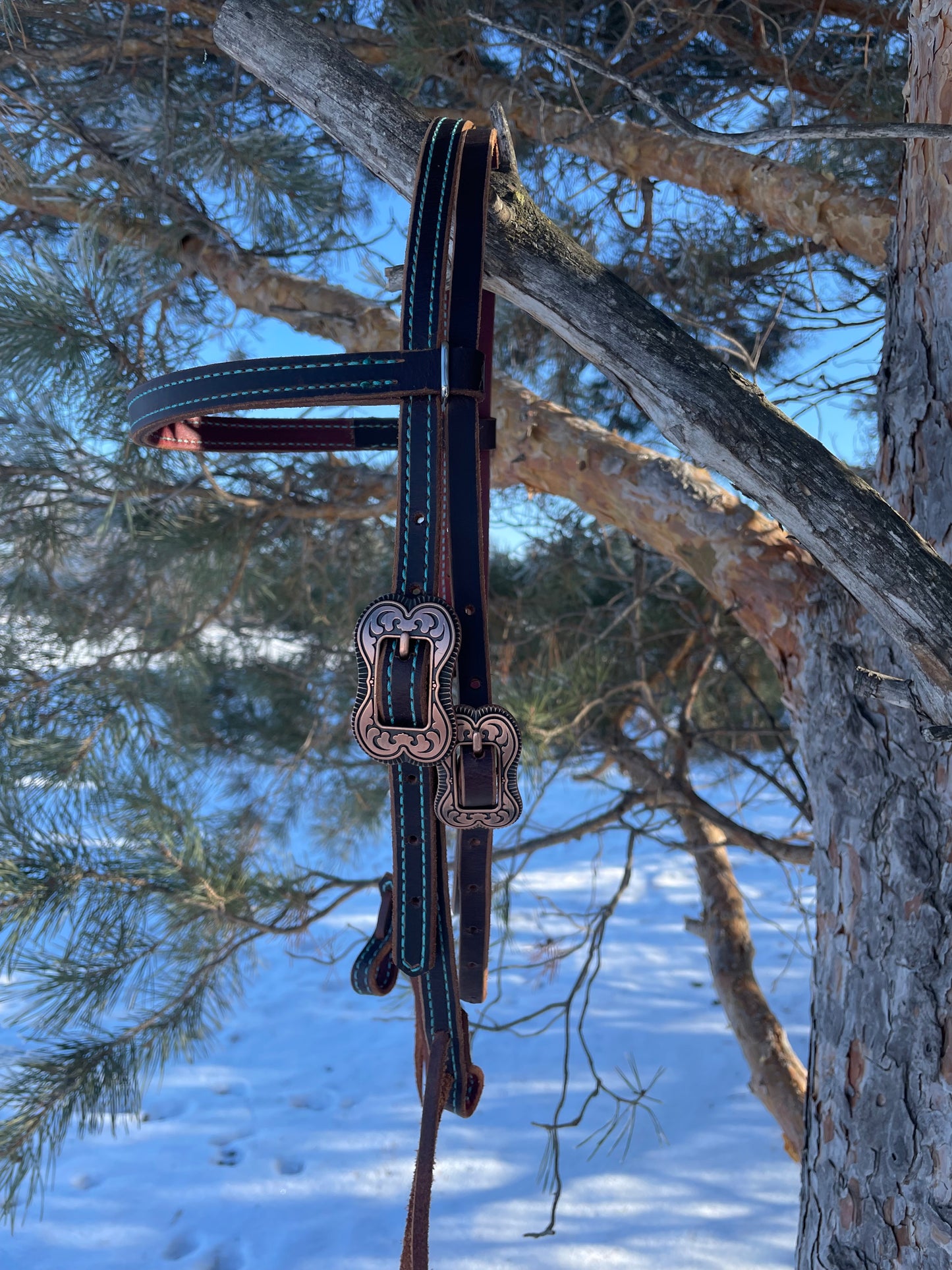 Browband Headstall