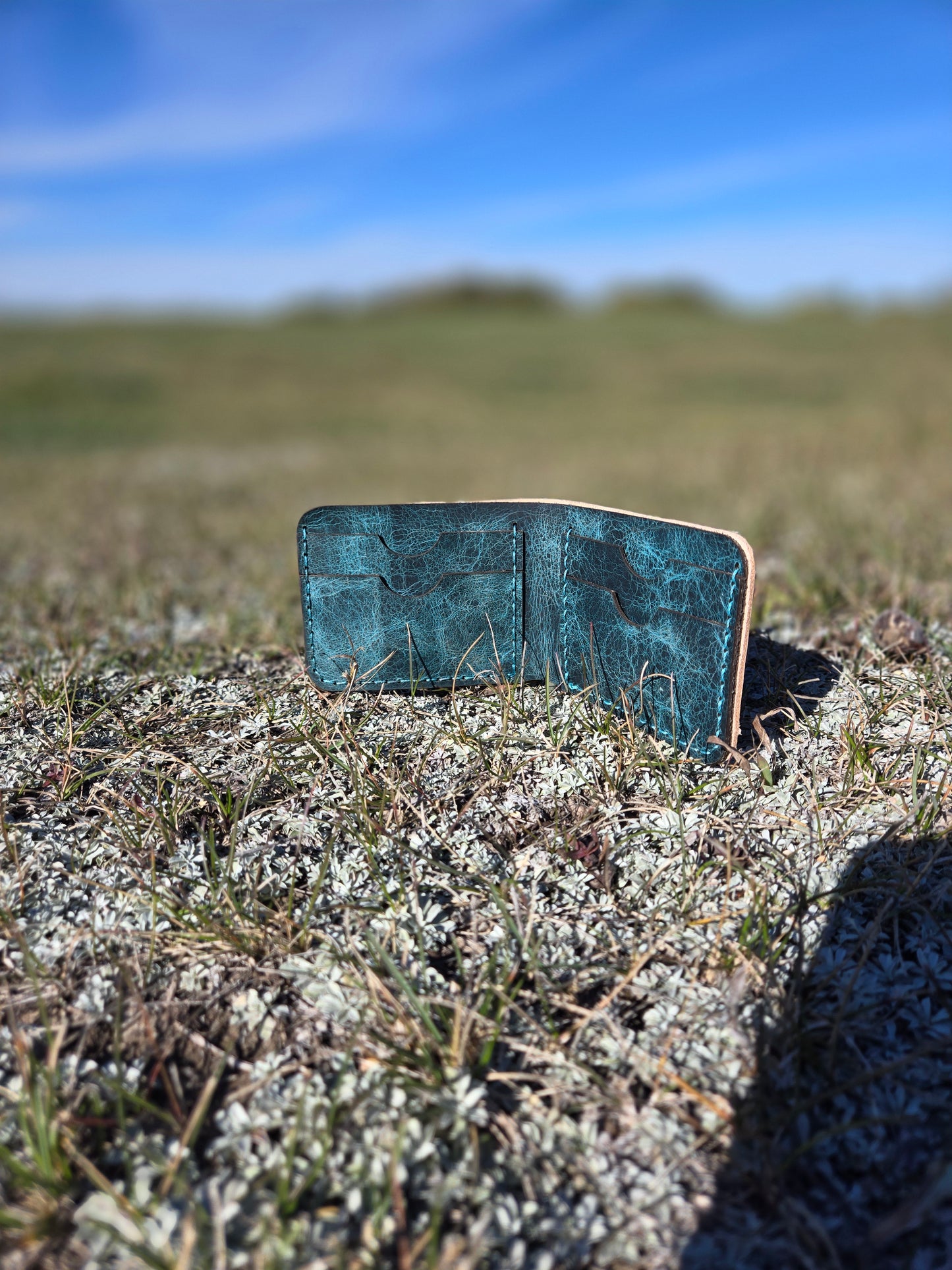 Scenery and Teal Wallet