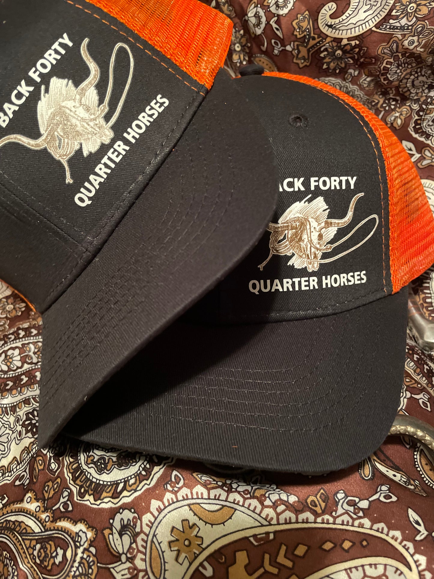 Back Forty Quarter Horse Ball Caps