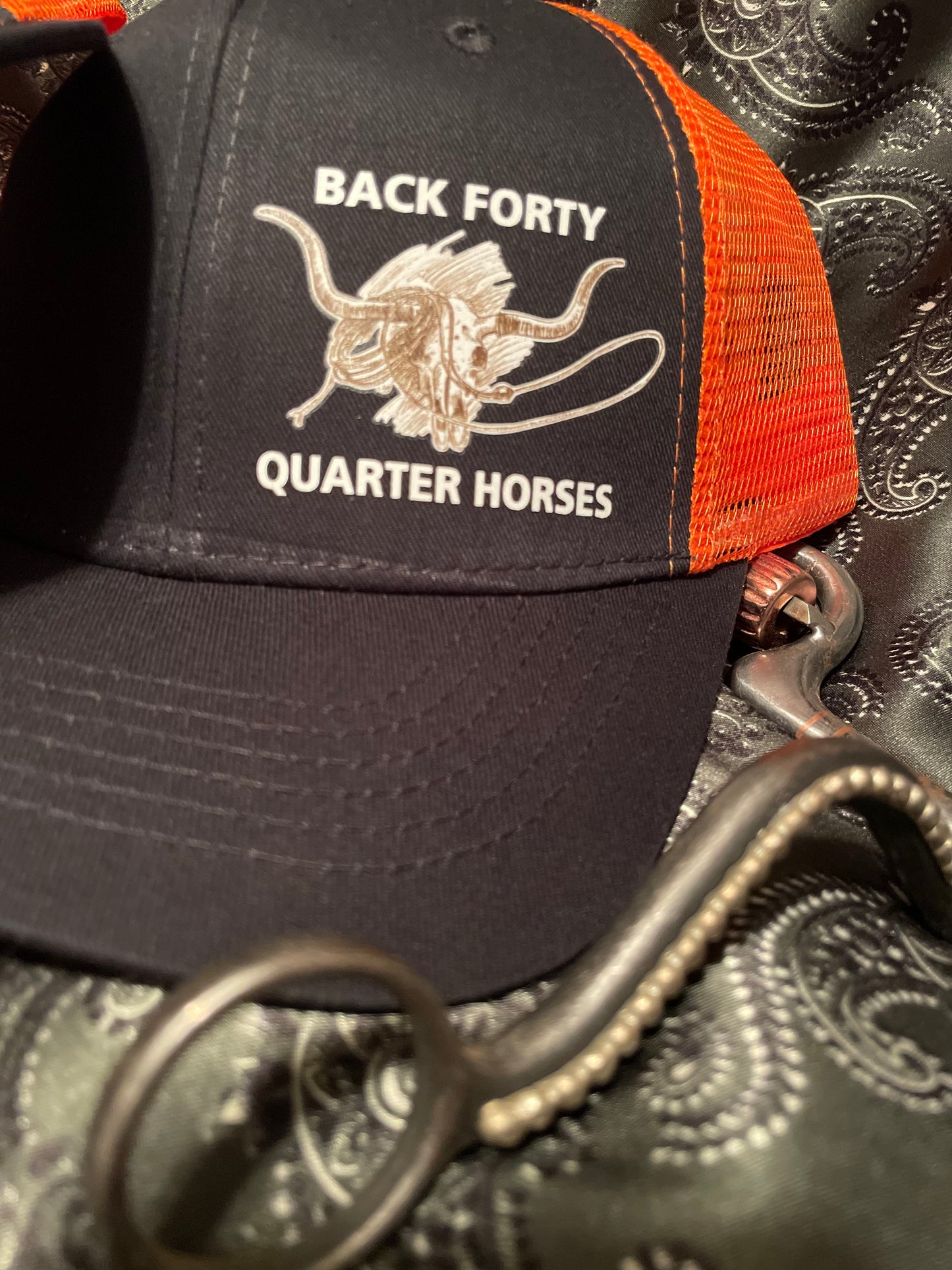 Back Forty Quarter Horse Ball Caps